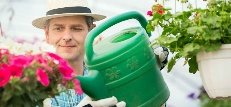 Man watering flowering plants