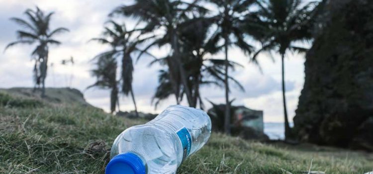 Plastic water bottle on a tropical beach because someone in Austin didnt use a water conditioner for their drinking water