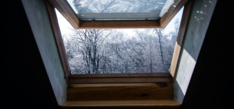 winter window