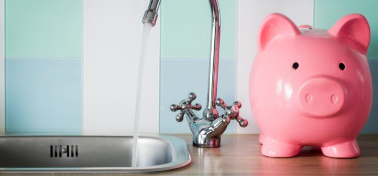 image depicting a sink and a piggy bank next to it to resemble the savings that comes with getting a water filter for water treatment in Austin, Texas