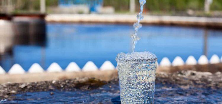 Crystal-clear water in a glass, treated using eco-friendly methods - services provided by top water treatment companies in Cedar Park TX.