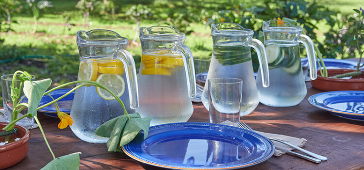 Pitchers of filtered water on a picnic table, representing safe, clean water from a home treatment system in Texas