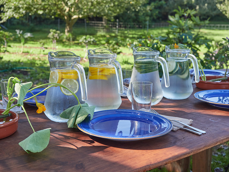 Pitchers of filtered water on a picnic table, representing safe, clean water from a home treatment system in Texas